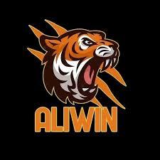 aliwin Mobile Pro